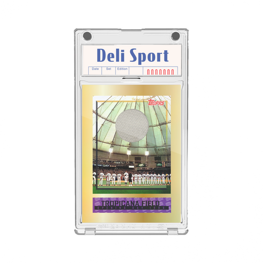 Deli Sport Card T-3 1998 Authentic Roof Relic