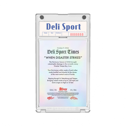 Deli Sport Card T-8 2024 Authentic Roof Relic