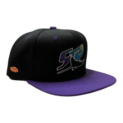 Deli Sport Home Team Hat Black / Purple